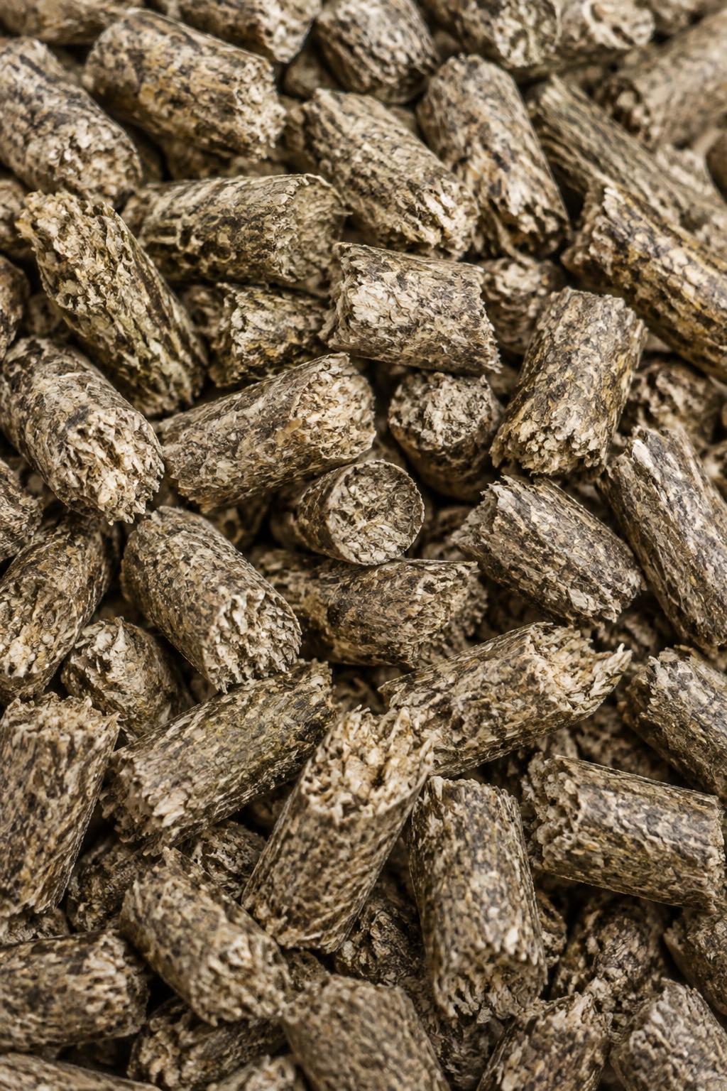 Illustration of dried sugar beet pulp pellets in close-up